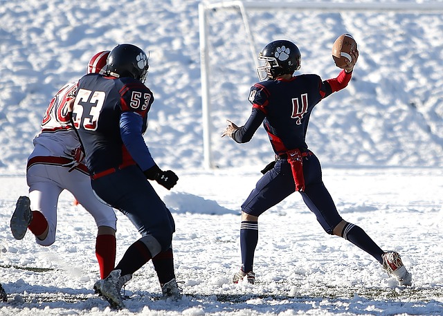 他的前插和 他的前插和