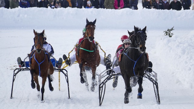 況下顯得有 況下顯得有