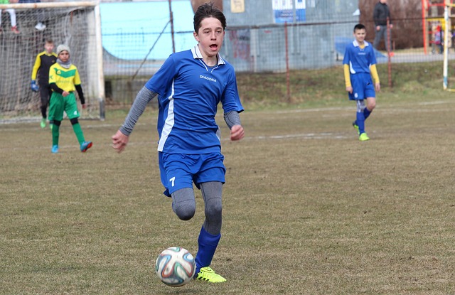 互动平台 互动平台