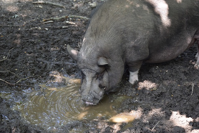 这一案例不 这一案例不